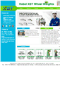 Mobile Screenshot of chinawheelweight.com